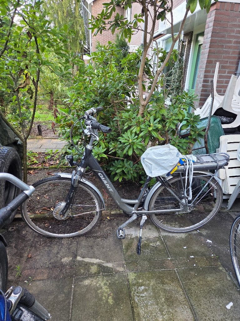 Giant Damesfiets - Goede Staat, Fietsen en Brommers, Ophalen, Giant, 50 tot 53 cm, Schijfrem