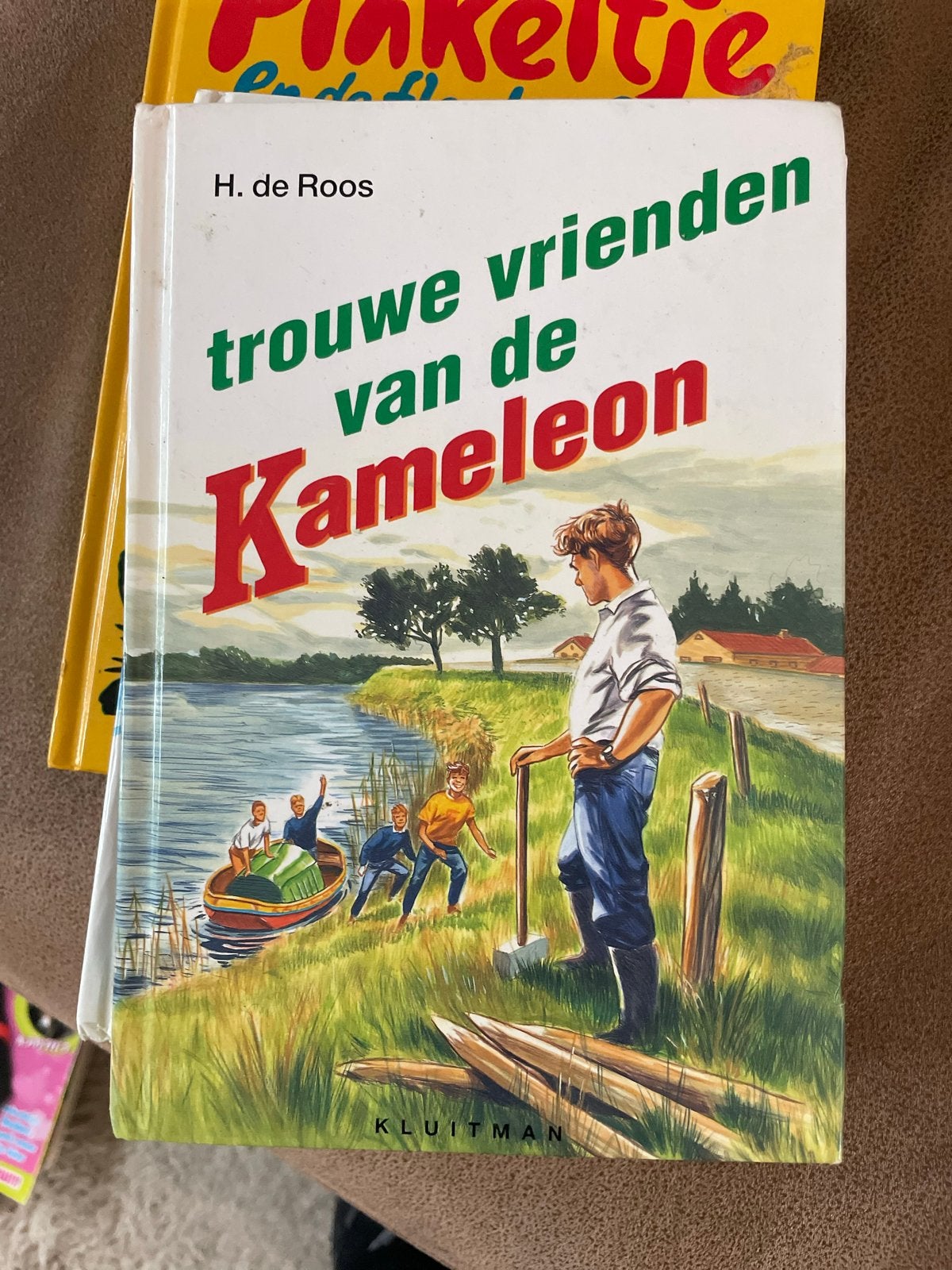 Trouwe Vrienden van de Kameleon - H. de Roos, Ophalen, Gelezen, Fictie