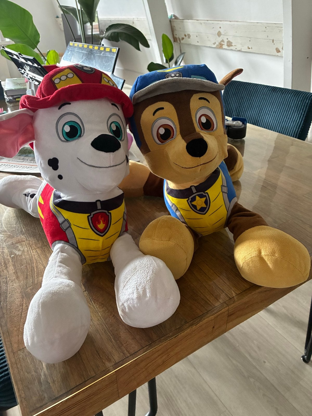 Grote Paw Patrol knuffels: Marshall en Chase, Zo goed als nieuw, Middelgroot (20 tot 80 cm), Meerkleurig, Paw Patrol