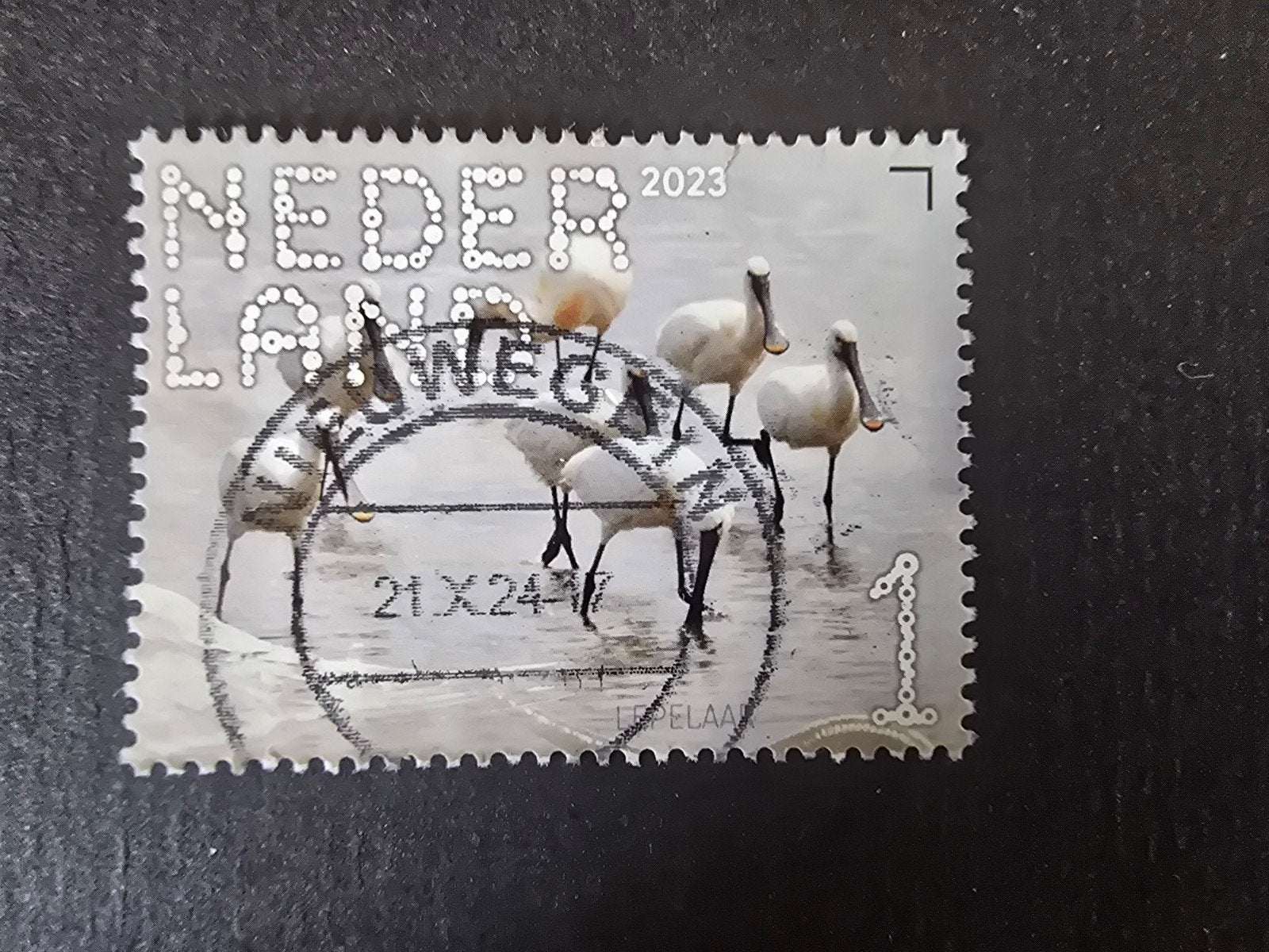 Beleef de Natuur 2023 - NVPH 4077 - Lepelaar, Ophalen of Verzenden, Na 1940, Gestempeld