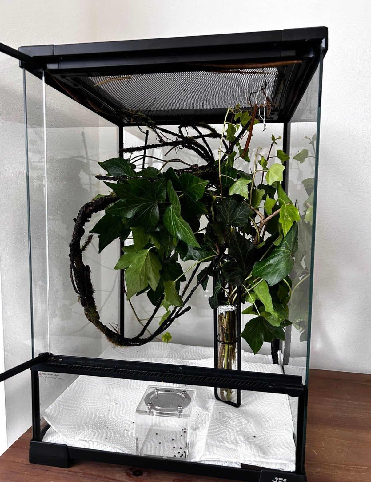 Nieuw terrarium te koop (waterdicht/glas/hoge kwaliteit), Dieren en Toebehoren, Reptielen en Amfibieën | Toebehoren, Ophalen, Zo goed als nieuw