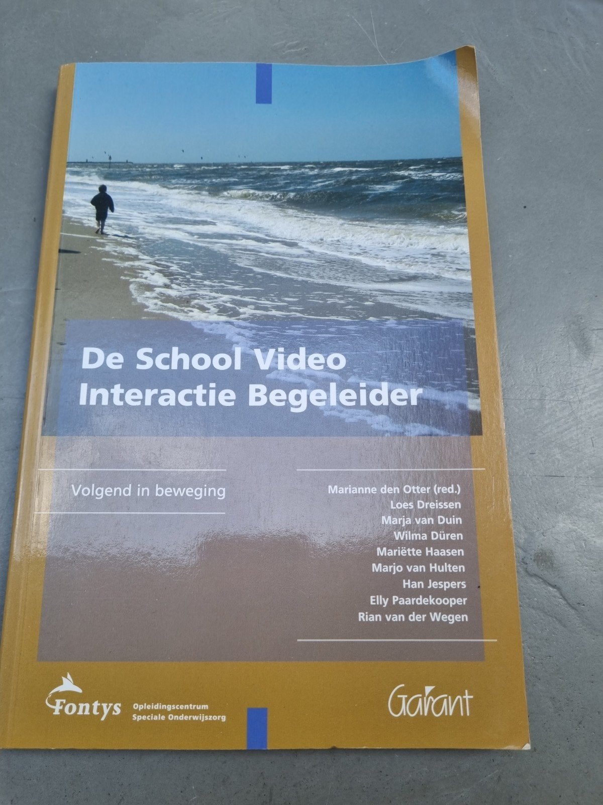 M. den Otter - DE SCHOOL VIDEO INTERACTIE BEGELEIDER, Boeken, Ophalen of Verzenden, Zo goed als nieuw, Overige onderwerpen, M. den Otter