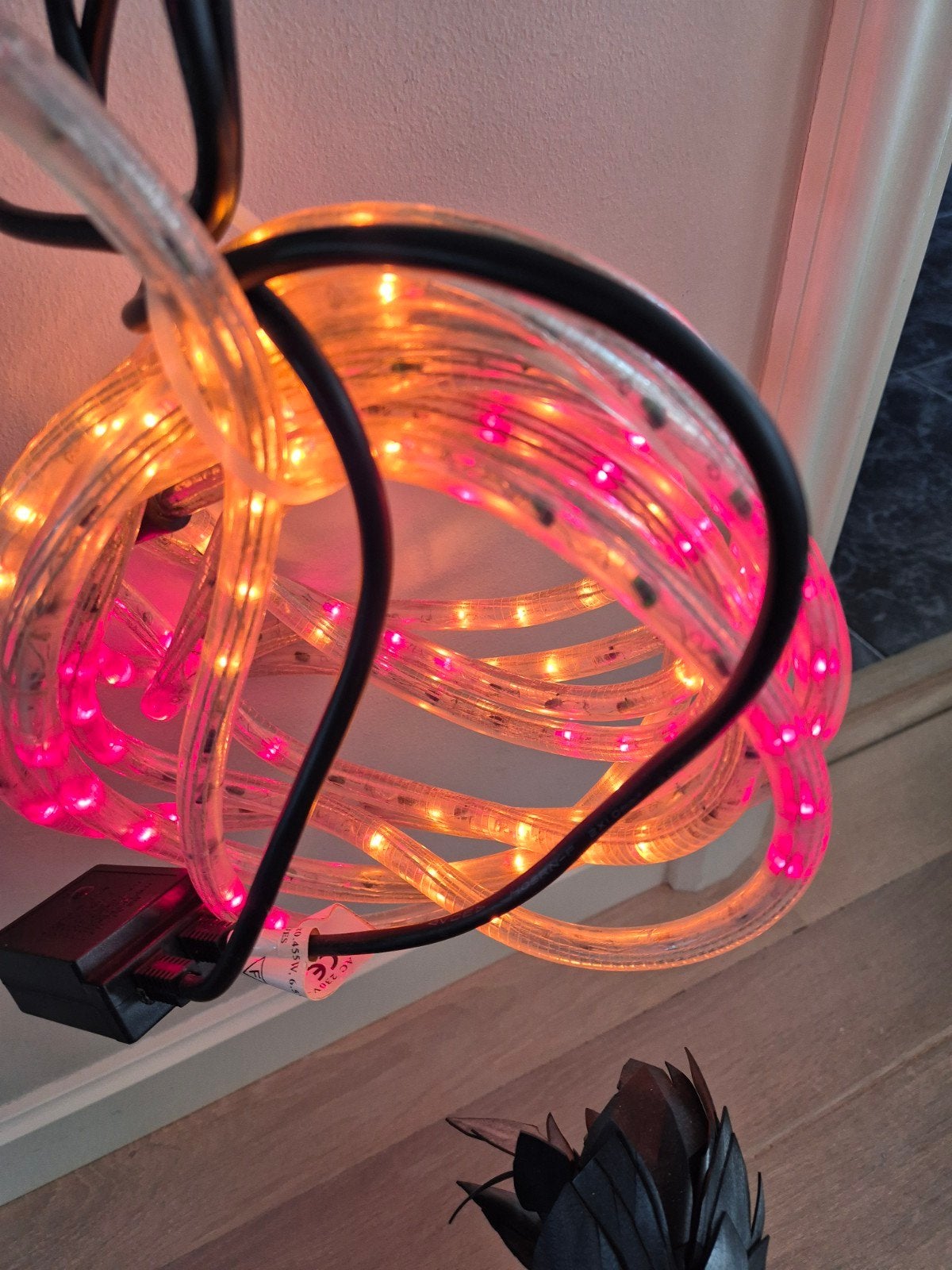 Lichtslang led 2x, Ophalen, Licht