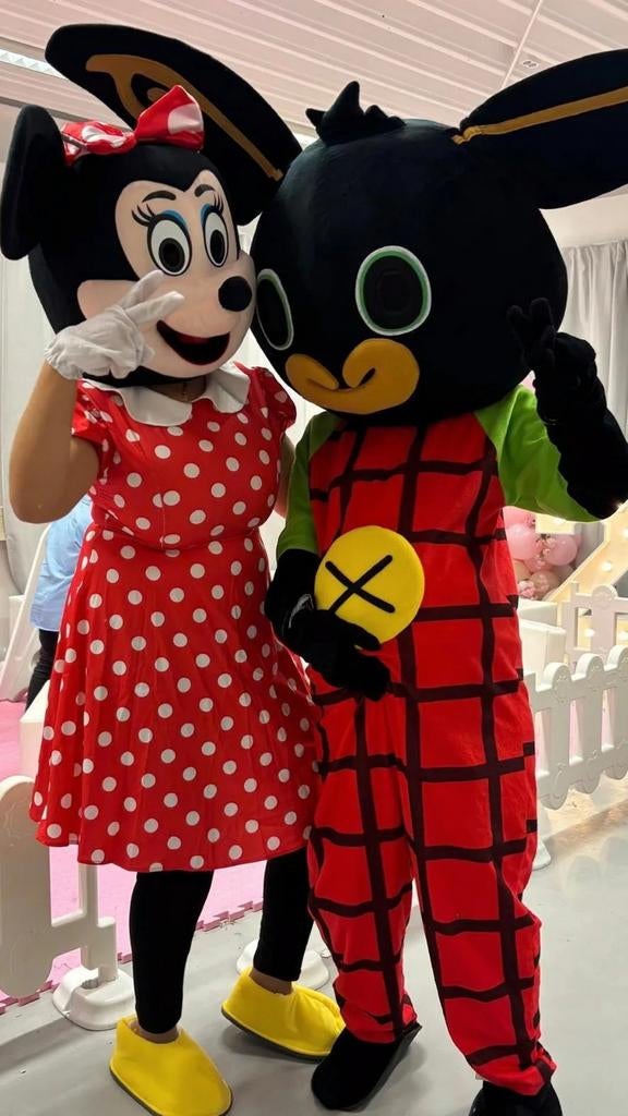 Droomhelden Mascottes, Ophalen, Nieuw, Verjaardag