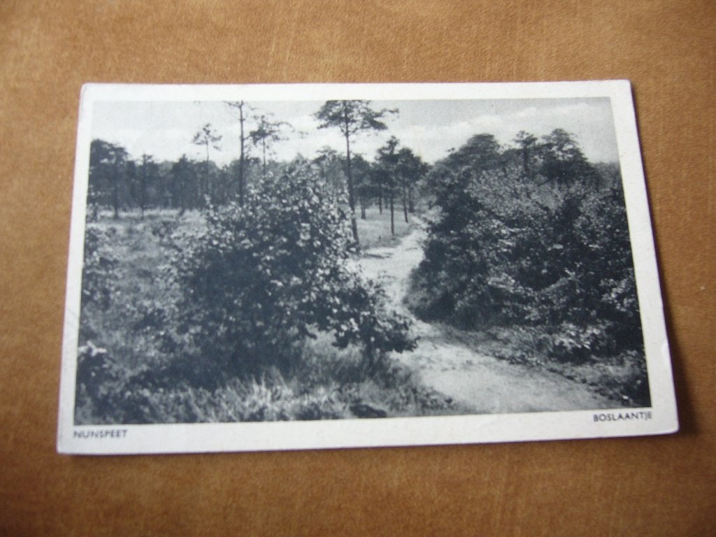 NUNSPEET  =  BOSLAANTJE, Ophalen of Verzenden, 1940 tot 1960, Gelopen, Gelderland