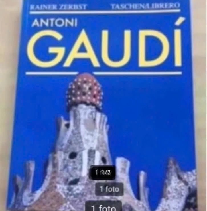 Antoni Gaudí door Rainer Zerbst., Ophalen of Verzenden, Zo goed als nieuw, Architecten