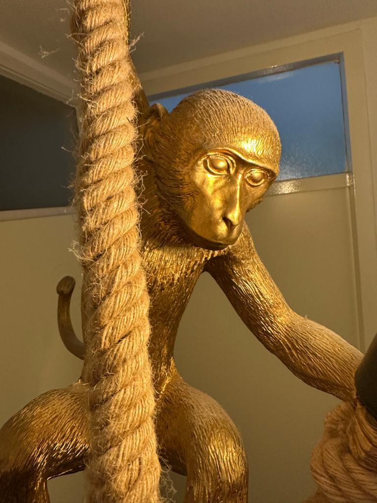 Gouden Aap Hanglamp met Touw - Unieke Verlichting, Ophalen, Zo goed als nieuw, Kunststof