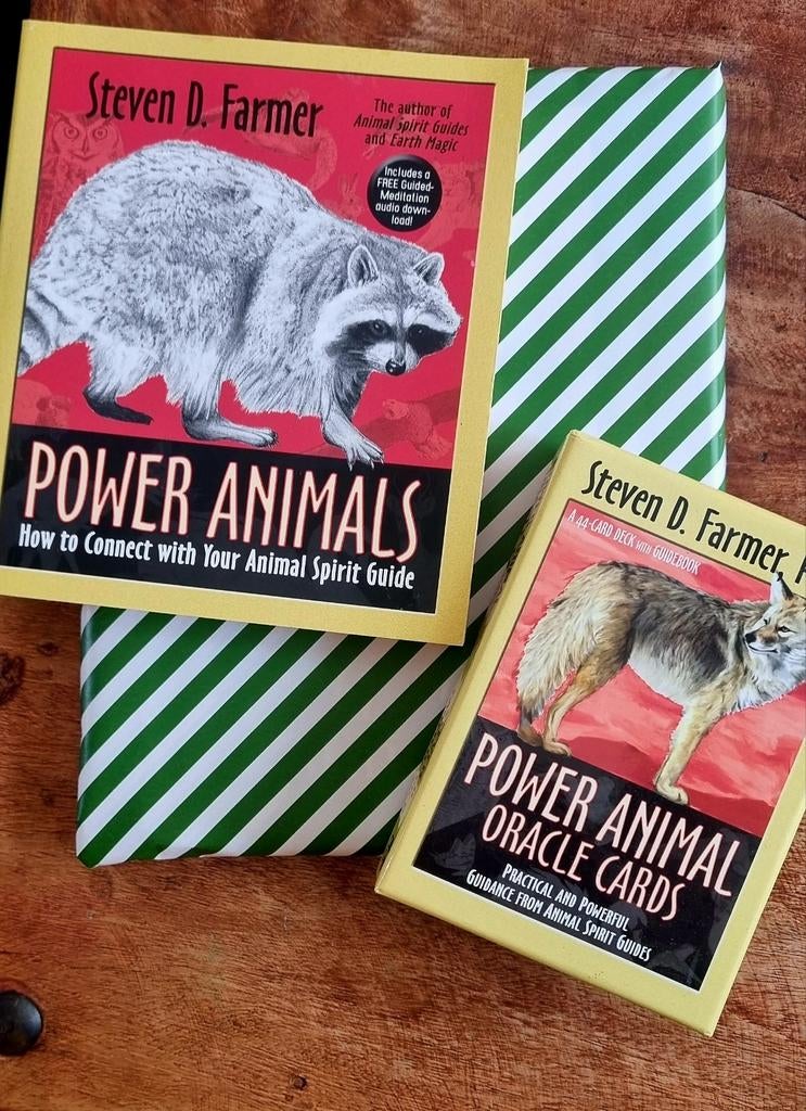Oracle cards Power Animals met boek, Ophalen of Verzenden, Zo goed als nieuw, Tarot of Kaarten leggen, Overige typen