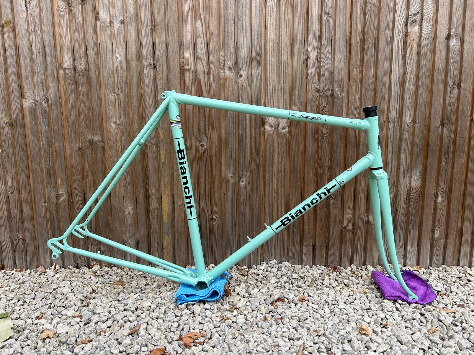 Bianchi Campione Del Mondo CX 1977, Ophalen of Verzenden, Zo goed als nieuw, Frame