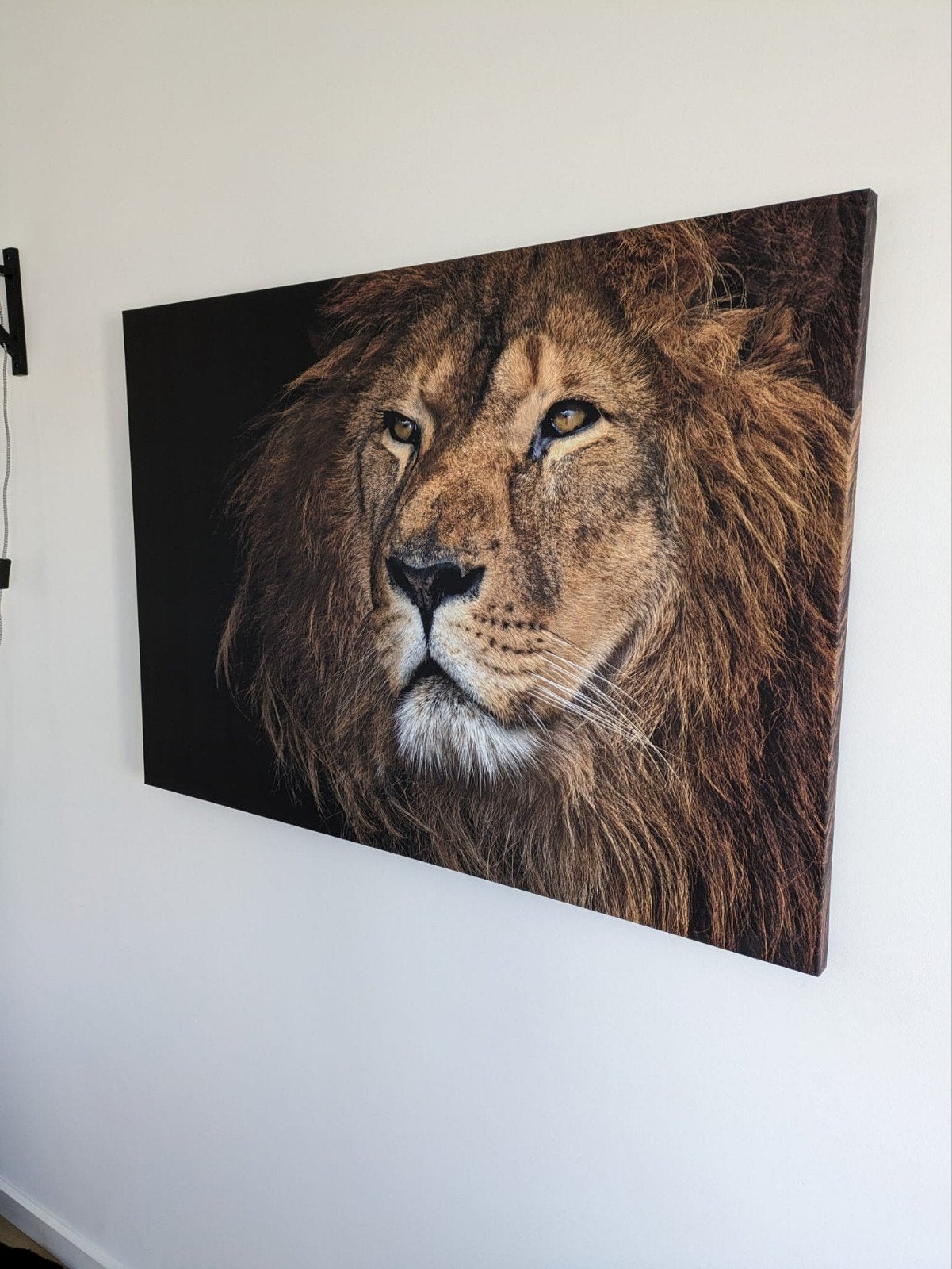 Prachtig Canvas Schilderij Leeuw, Huis en Inrichting, Woonaccessoires | Schilderijen, Tekeningen en Foto's, Ophalen, Zo goed als nieuw