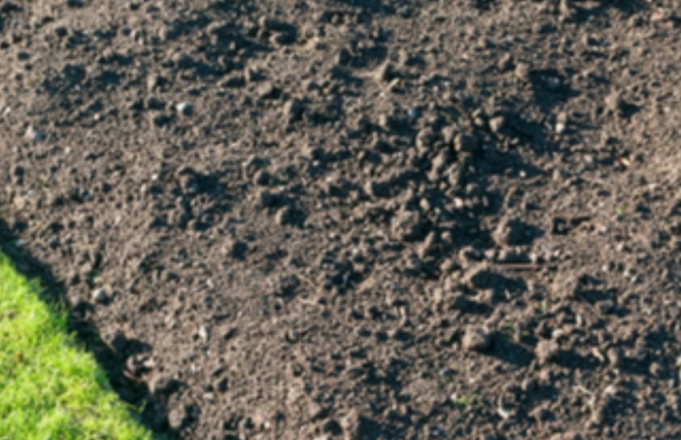 1m3 gratis zwarte grond op te halen, Ophalen of Verzenden, Tuinaarde