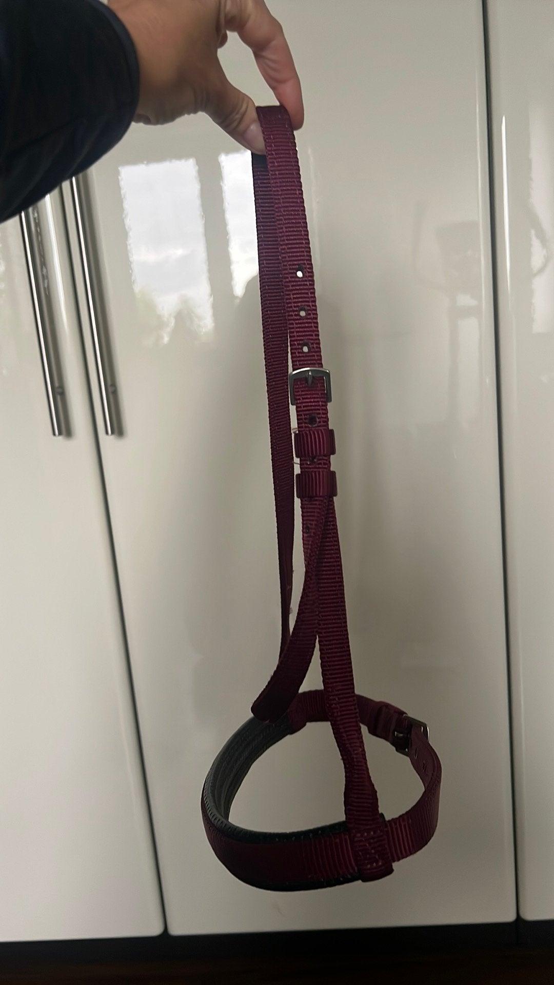 Te koop bordeaux rode western neusriem, Ophalen of Verzenden, Nieuw