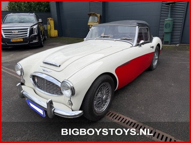 Austin HEALEY 100/6 (BN4) Overdrive, Auto's, Oldtimers, Overige carrosserieën, 4 stoelen, Wit, Leder