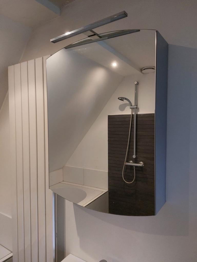 Badkamerkast met verlichting, stopcontact en spiegeldeur, Ophalen, Spiegelkast, 50 tot 100 cm, Minder dan 25 cm