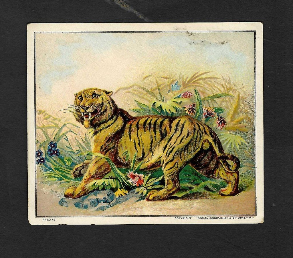 zonder naam   etiket  tijger  6319, Ophalen of Verzenden, Gebruikt, Sigarenbandjes