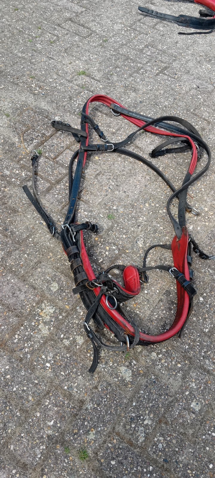 2 spantuig a pony, Dieren en Toebehoren, Ophalen