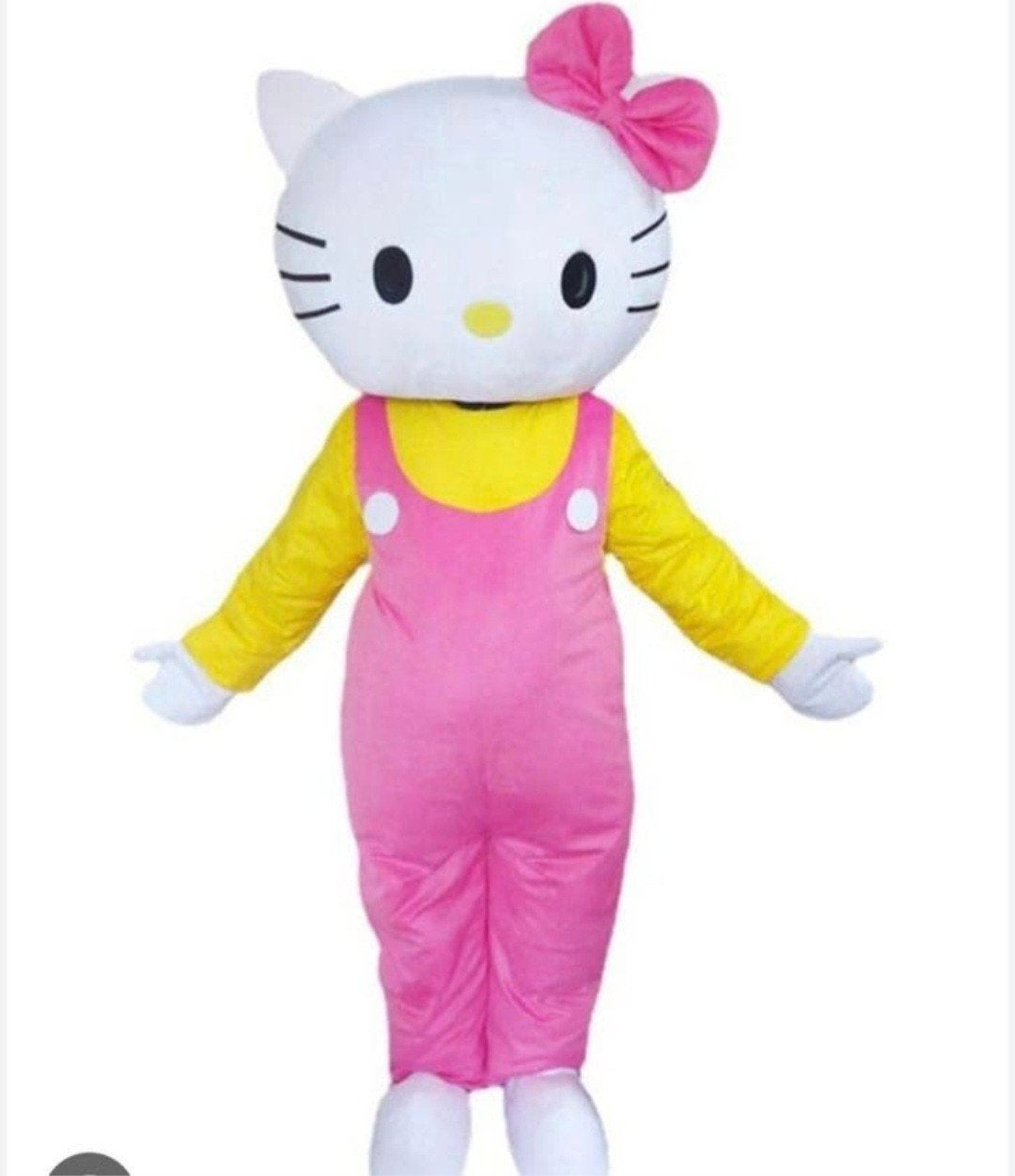 Hello kitty mascotte te huur, Ophalen, Zo goed als nieuw, Overige