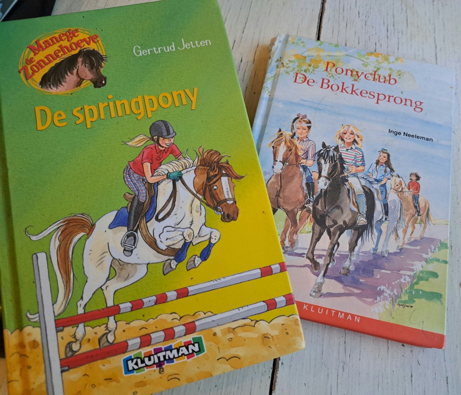 De springpony Manege de Zonnehoeve + gratis Ponyclub, Ophalen of Verzenden, Zo goed als nieuw, Gertrud Jetten