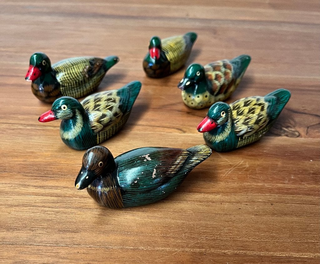 kleine eendjes - 16x, Verzamelen, Ophalen of Verzenden, Zo goed als nieuw, Dier