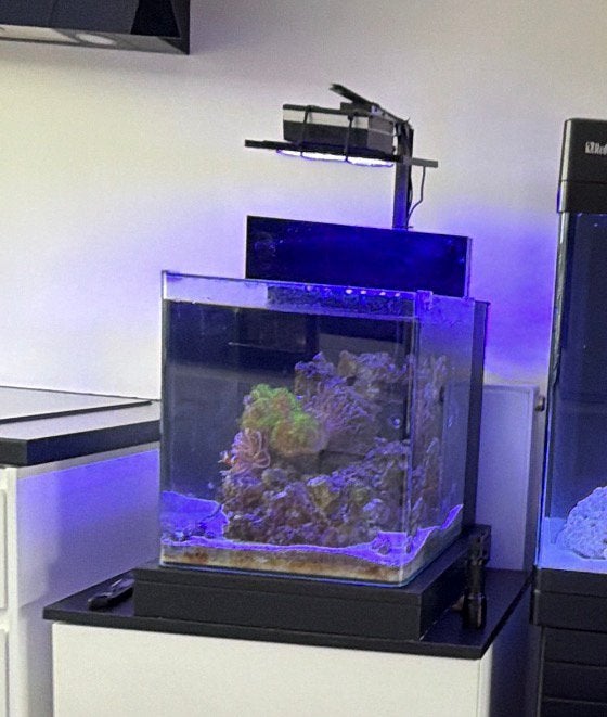 Te koop aangeboden leeg blue marine zee aquarium 60 liter., Dieren en Toebehoren, Vissen | Aquaria en Toebehoren, Ophalen, Zo goed als nieuw
