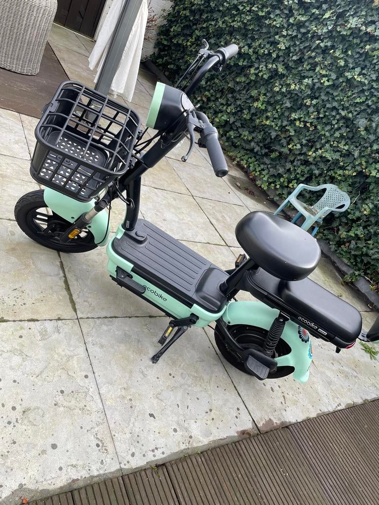 Elektrische fiets Ecobike, Fietsen en Brommers, Overige merken, Ophalen of Verzenden, Zo goed als nieuw, Minder dan 47 cm