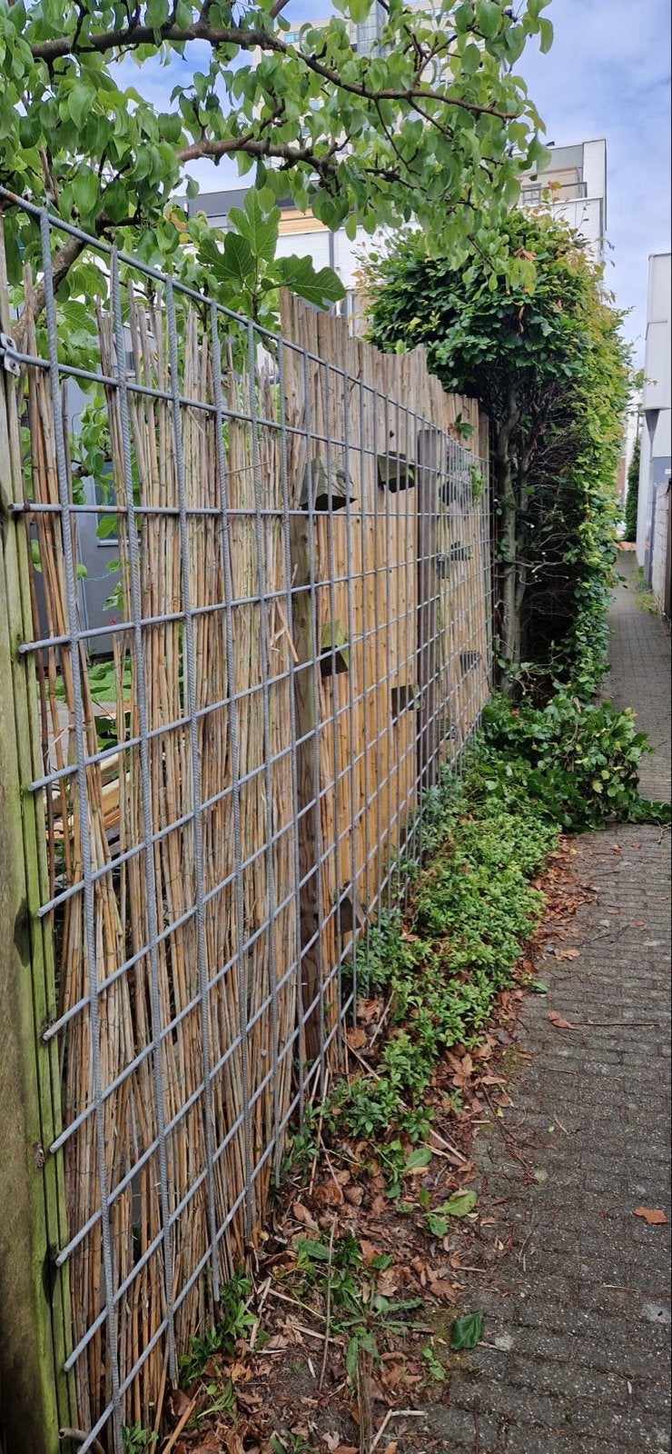 Tuinscherm/schutting van bamboe en ijzer, Ophalen, Zo goed als nieuw, Minder dan 10 meter, Overige typen