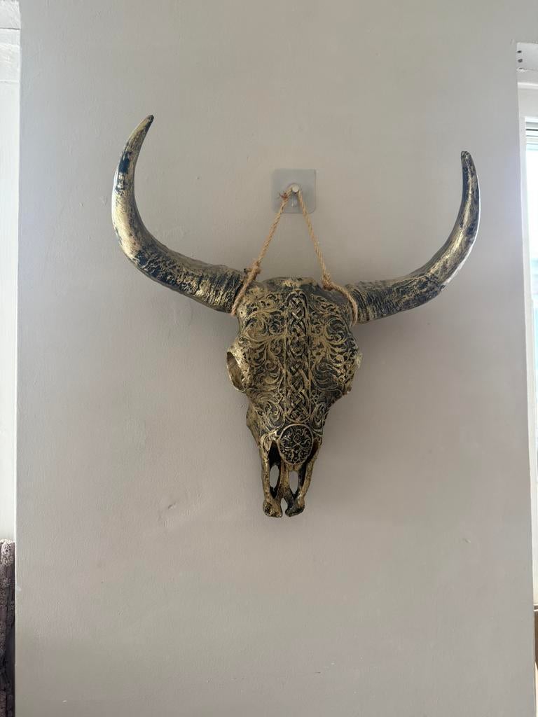 Buffel kop decoratie, Ophalen, Zo goed als nieuw