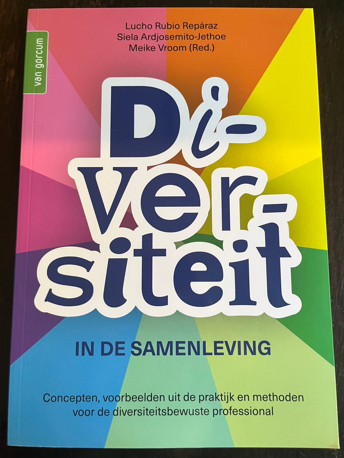 Lucho Rubio Repàraz - Diversiteit in de samenleving / Druk 3, Lucho Rubio Repàraz; Siela Ardjosemito-Jethoe; Meike Vroom, Sociale wetenschap