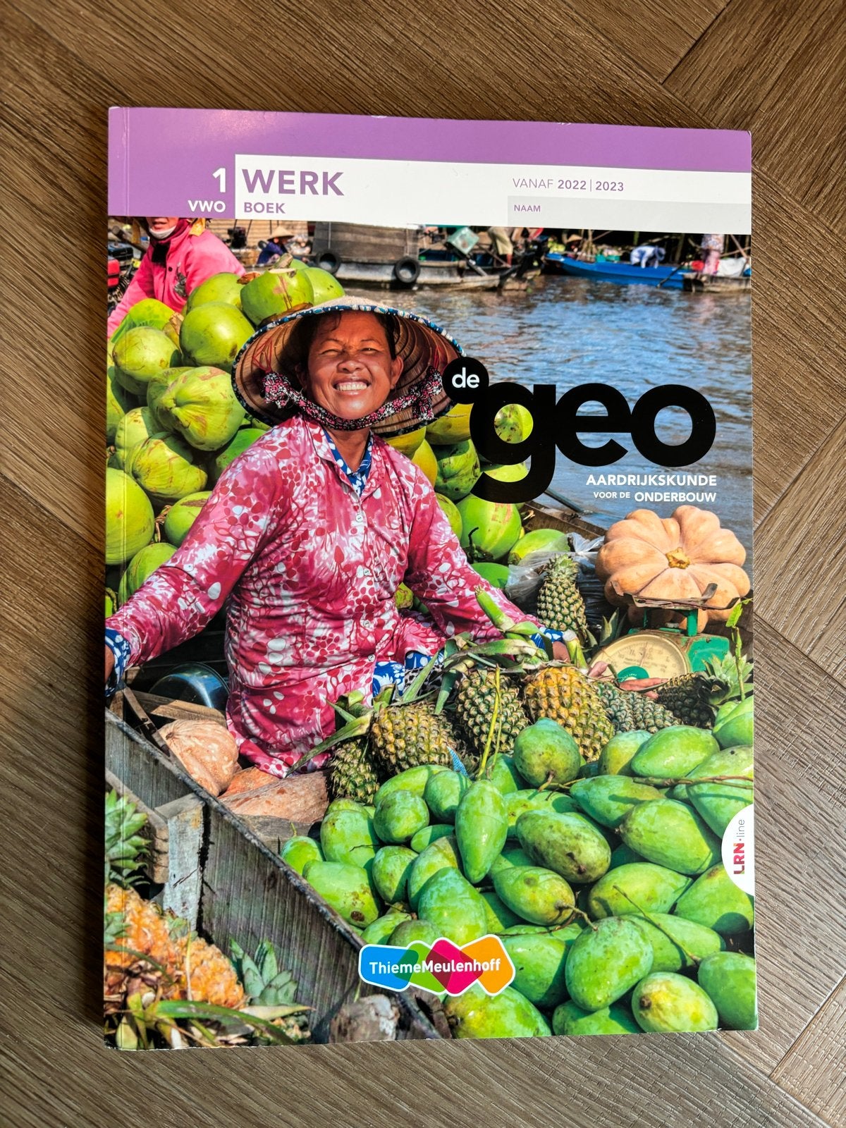 Werkboek de Geo Aardrijkskunde 1 VWO Thieme Meulenhoff, Boeken, Ophalen of Verzenden, Gamma, Zo goed als nieuw, Overige niveaus