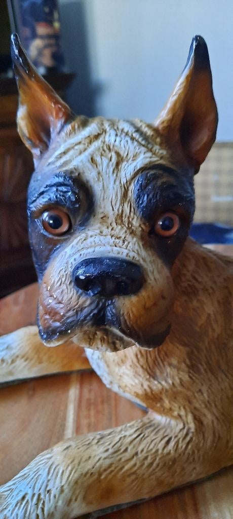 beeld boxer, hond, 43 cm, glazen ogen, italy, prachtig!, Ophalen, Zo goed als nieuw, Hond of Kat, Beeldje of Figuurtje