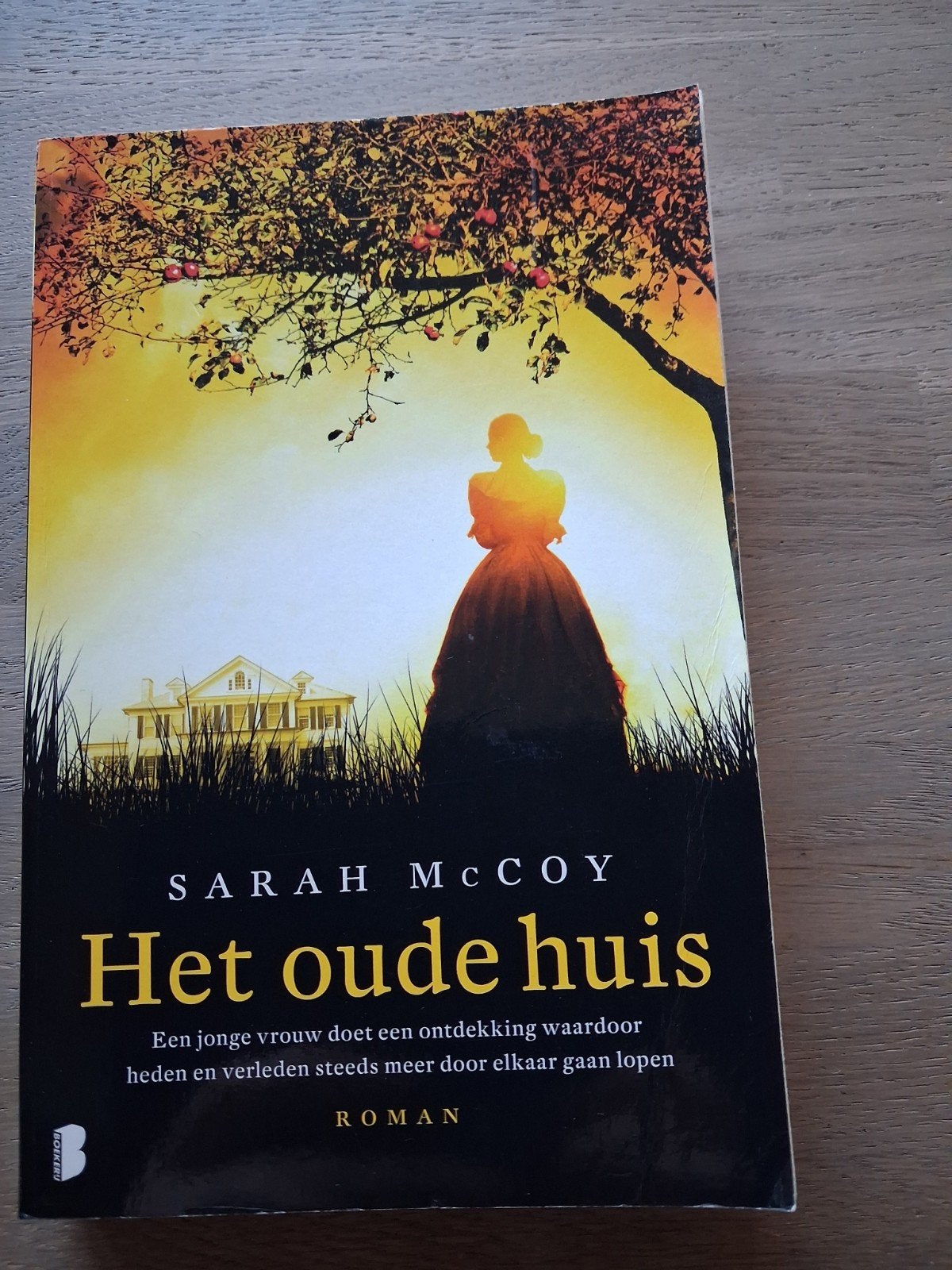 Het Oude Huis - Sarah McCoy, Boeken, Ophalen of Verzenden, Zo goed als nieuw, Sarah McCoy, Amerika