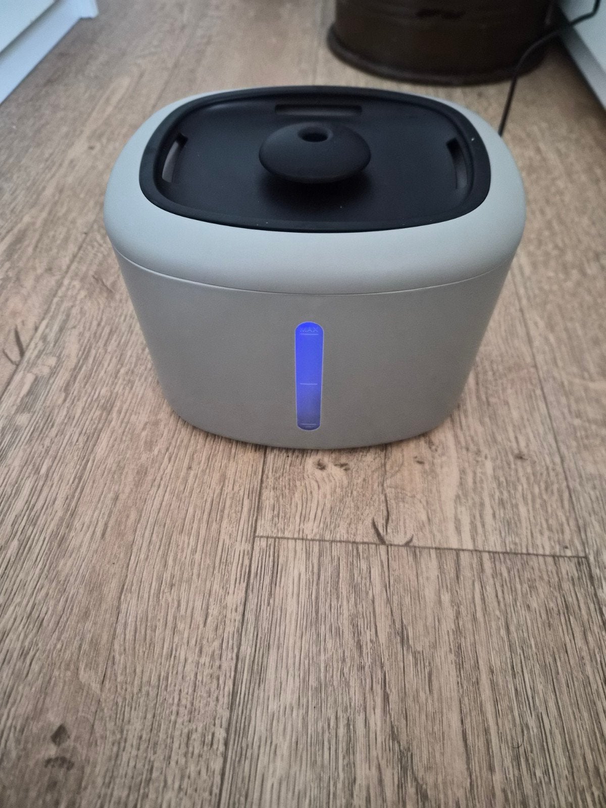 drinkfontein kat, Ophalen of Verzenden, Automatisch, Nieuw