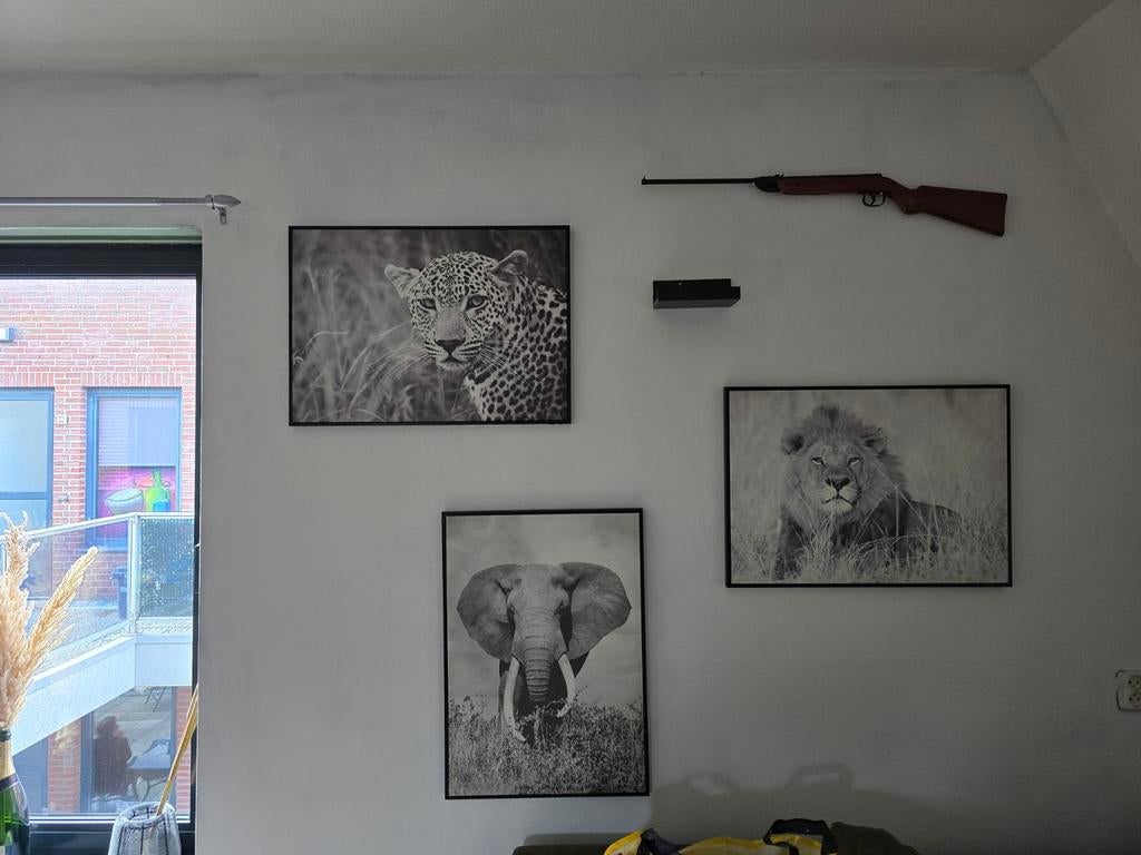 Set van 3 Schilderijen: Wilde Dieren, Huis en Inrichting, Woonaccessoires | Schilderijen, Tekeningen en Foto's, Ophalen, Zo goed als nieuw