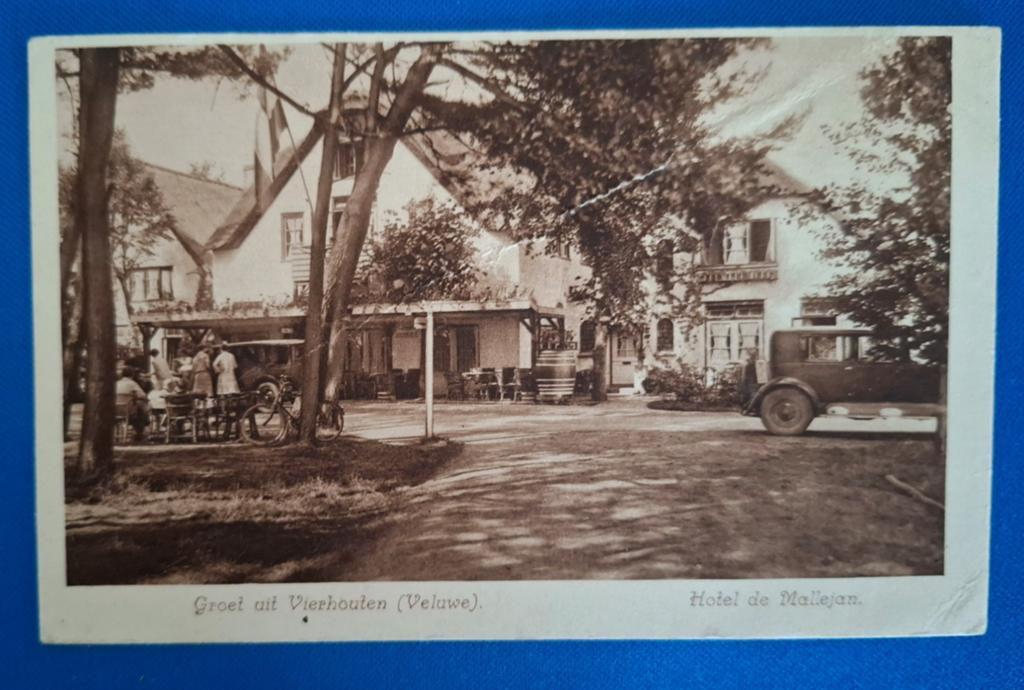 Ansichtkaart Vierhouten Veluwe Hotel de Mallejan, Ophalen of Verzenden, Ongelopen, Gelderland
