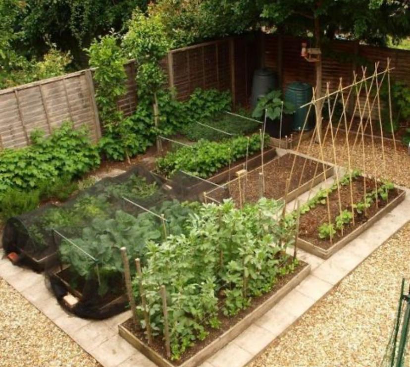Gezocht Moestuin kavel, Ophalen of Verzenden, Zo goed als nieuw