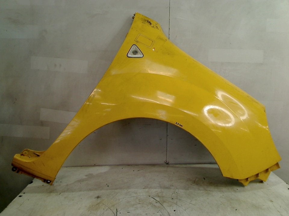 Spatbord Rechts Voor LAKSCHADE Renault Kangoo Express (FW), Gebruikt, Renault Deutschland AG, Dialog.deutschland@renault.de, Peter-Huppertz-Straße 5, Köln 51063, , Duitsland