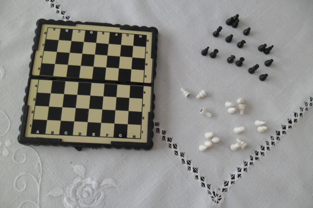 Pocket Magnetic Chess set schaken, Een of twee spelers, Ophalen of Verzenden, Zo goed als nieuw, Reisspel