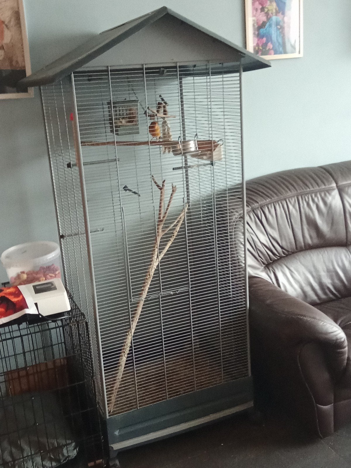 kamer voljere