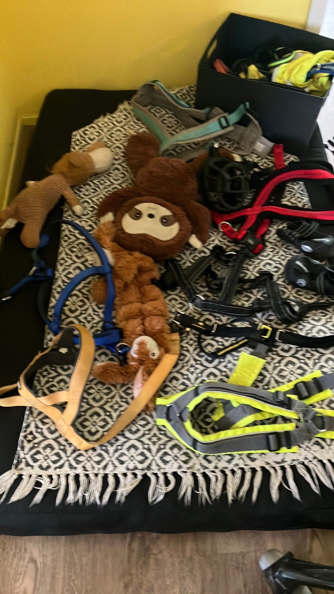 Groot hondenkussen en hele tas hondenspeeltjes, tuigjes, etc, Dieren en Toebehoren, Honden-accessoires, Ophalen, Zo goed als nieuw