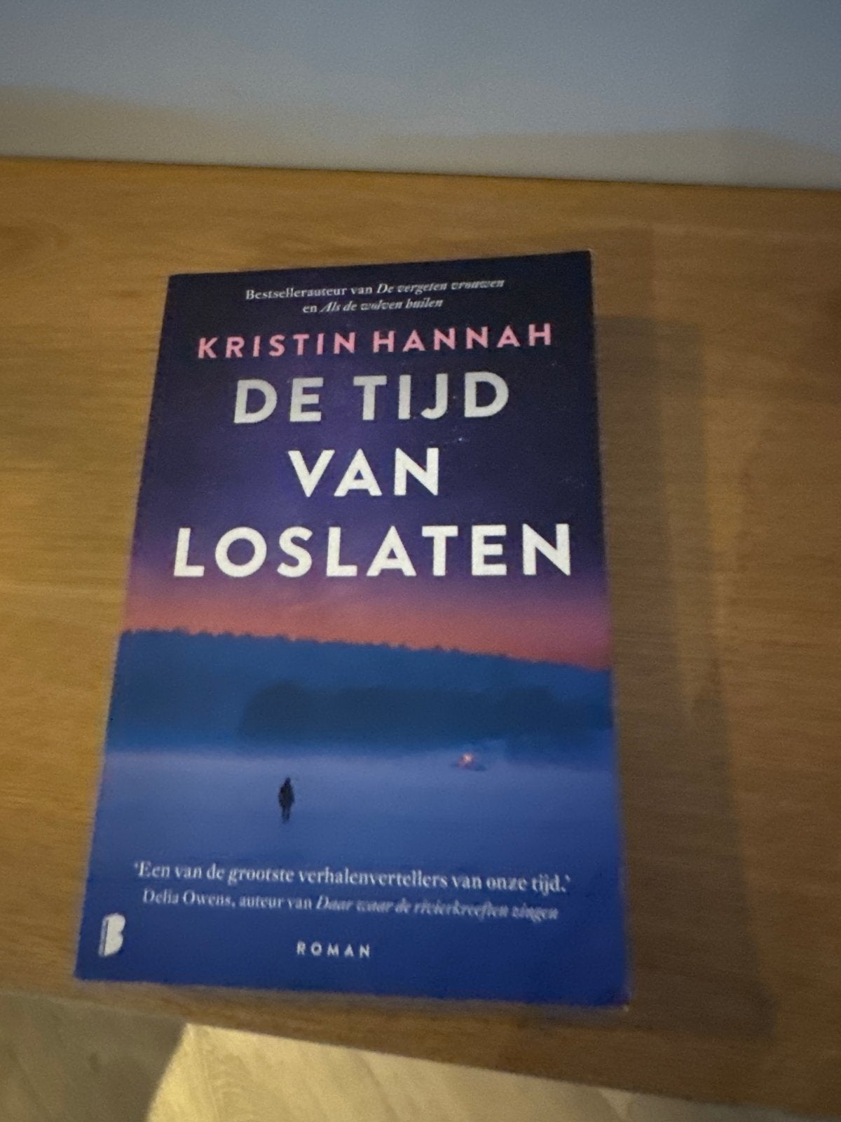 De Tijd van Loslaten - Kristin Hannah (Roman), Ophalen, Zo goed als nieuw, Nederland
