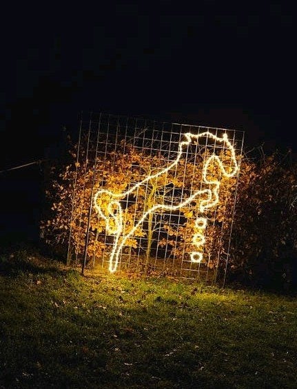 springpaard verlichting, Ophalen of Verzenden, Nieuw