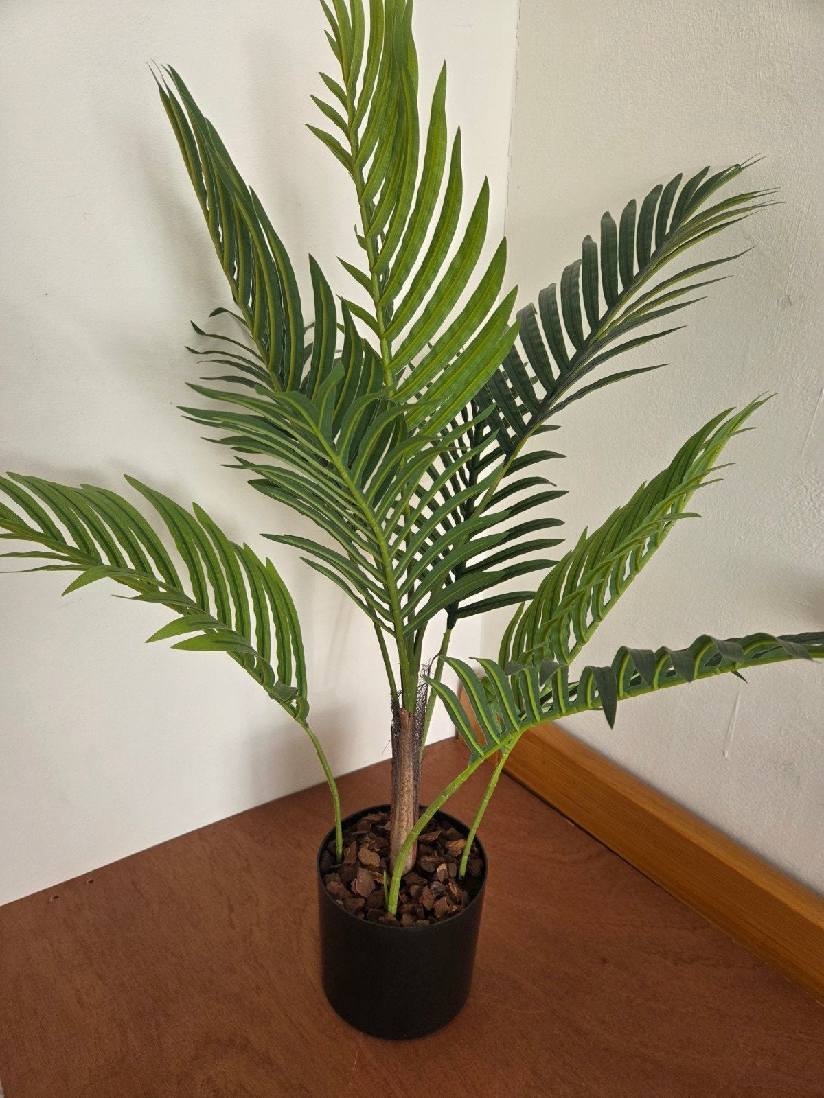 Kunstpalmplant in pot - Groen  70-80 cm, Ophalen, Binnen, Groen, Nieuw