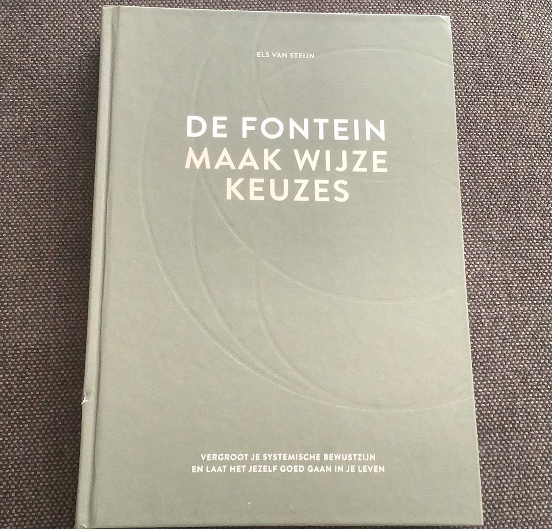 Els van Steijn - De fontein, maak wijze keuzes, Boeken, Ophalen of Verzenden, Zo goed als nieuw, Els van Steijn