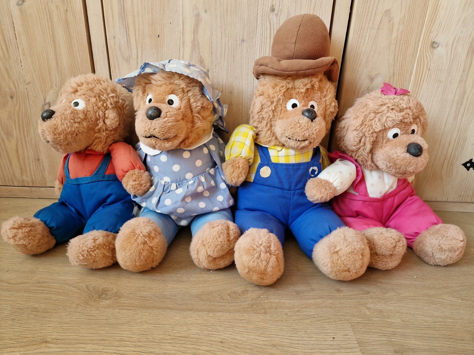 Berenstain Bears, Verzamelen, Ophalen of Verzenden, Gebruikt