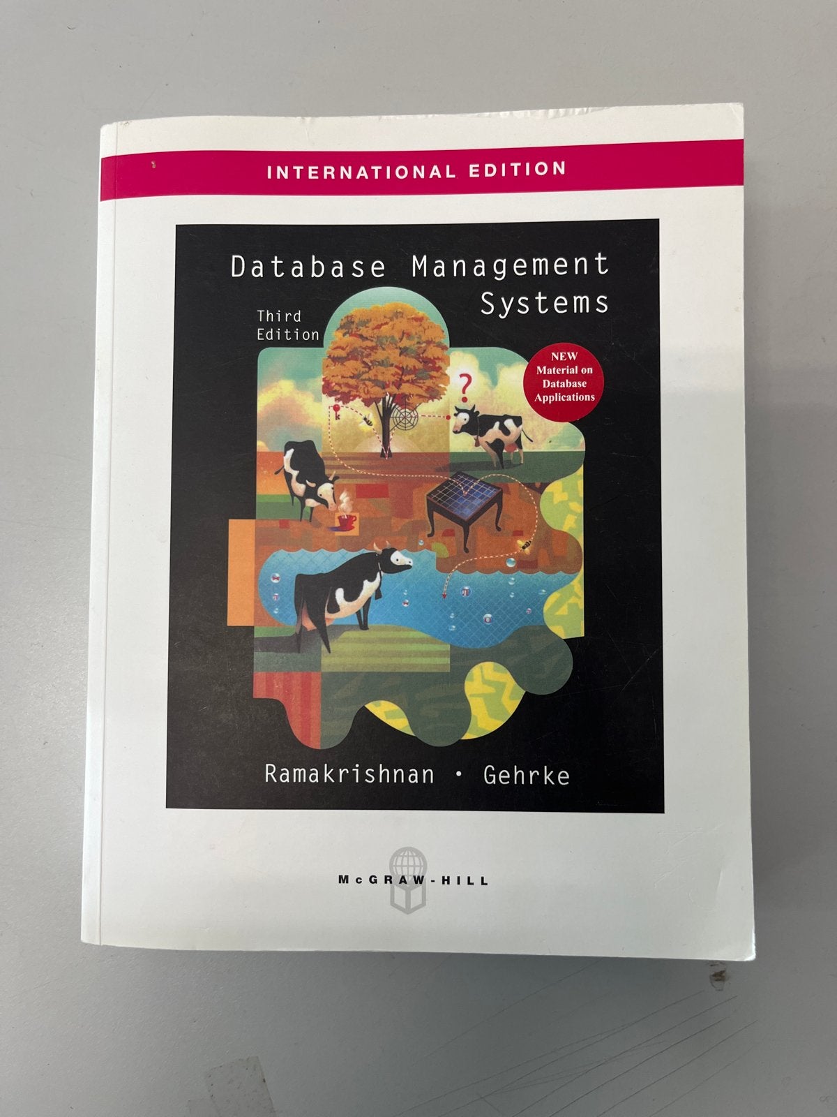 Database Management Systems - Ramakrishnan & Gehrke, Ophalen of Verzenden, Beta, Zo goed als nieuw, HBO