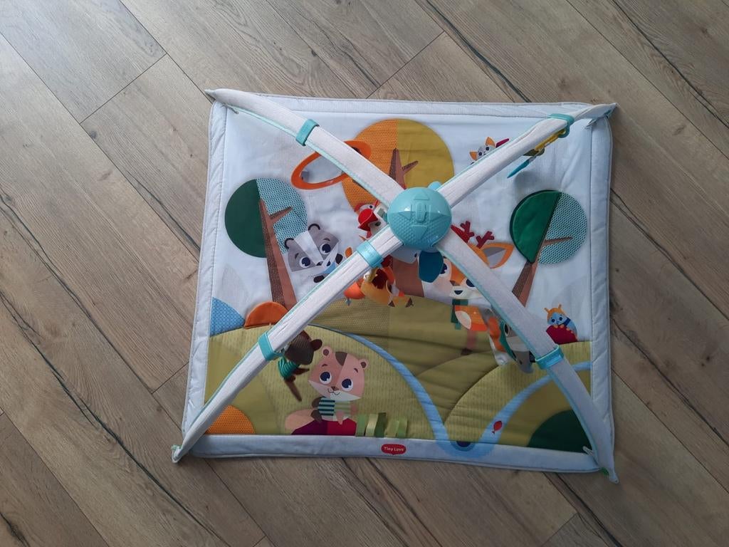 Mooi speelkleed van Tiny Love, Ophalen of Verzenden, Zo goed als nieuw