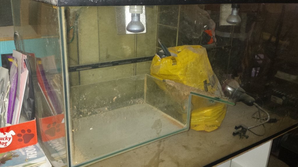 Terrarium + kast. 120 - 50 - 62 cm, Ophalen, Gebruikt, Terrarium of Paludarium