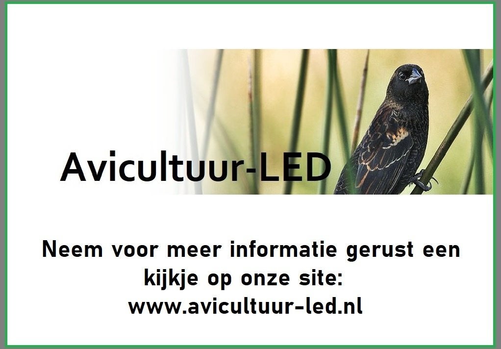 Bezoek de stand van Avicultuur-LED op de Vogelbeurs, Putte, Dieren en Toebehoren, Ophalen, Nieuw