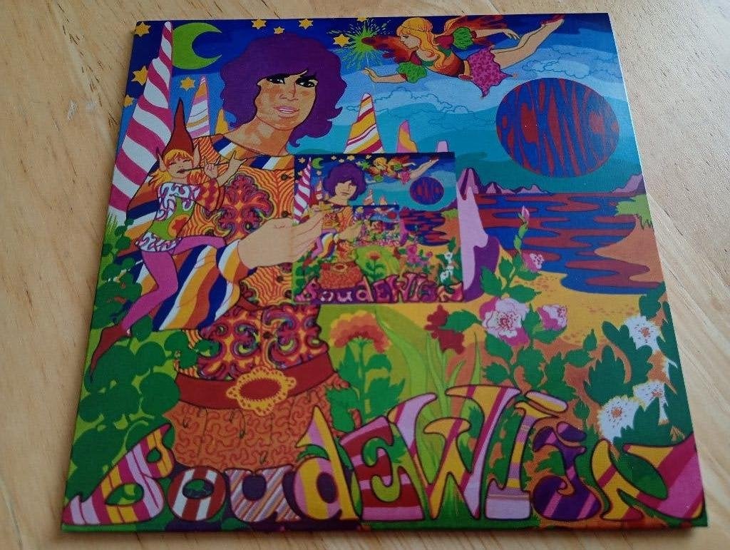 CD Boudewijn De Groot - Picknick (2024), Verzenden, Zo goed als nieuw, Levenslied of Smartlap