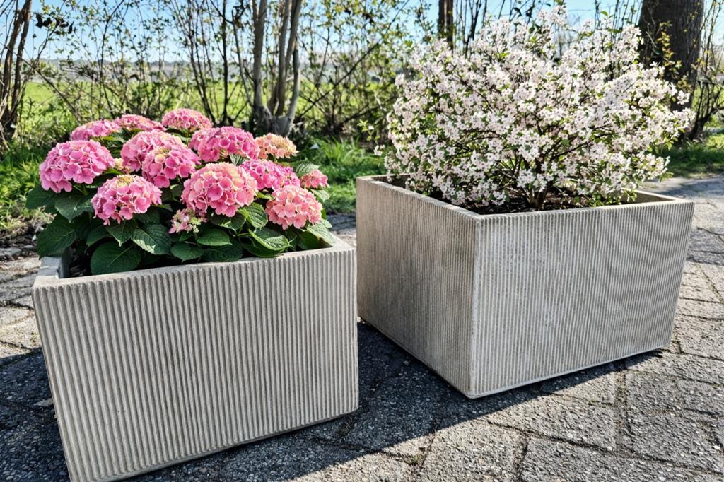 Grote creme bloembakken, Ophalen, Zo goed als nieuw, Hout, Tuin